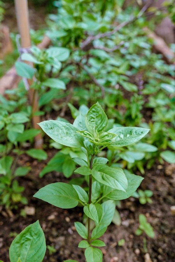 Les stratégies pour maintenir une pratique médicale respectueuse de l'environnement