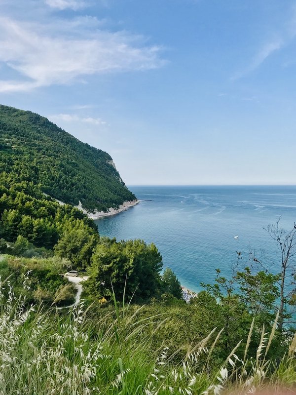 les bienfaits de la marche quotidienne pour les seniors